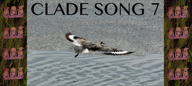 Clade Song 7 Banner