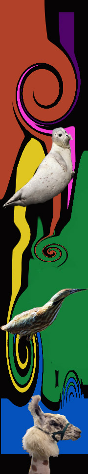 Clade Song 7 left sidebar