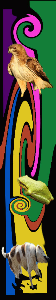 Clade Song 7 right sidebar